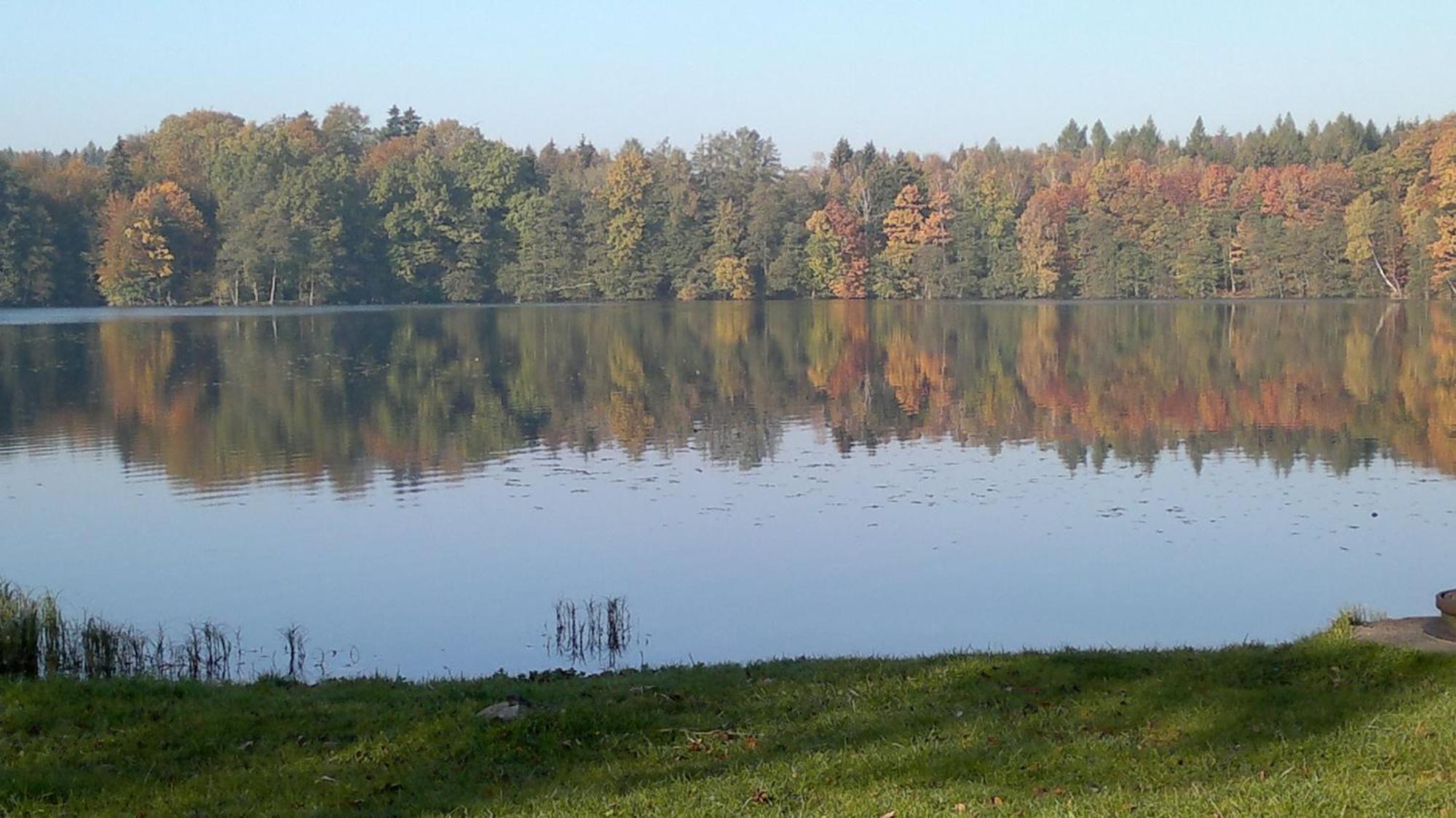 Zajazd Zamkowy - Schlossgasthof Krąg Eksteriør billede